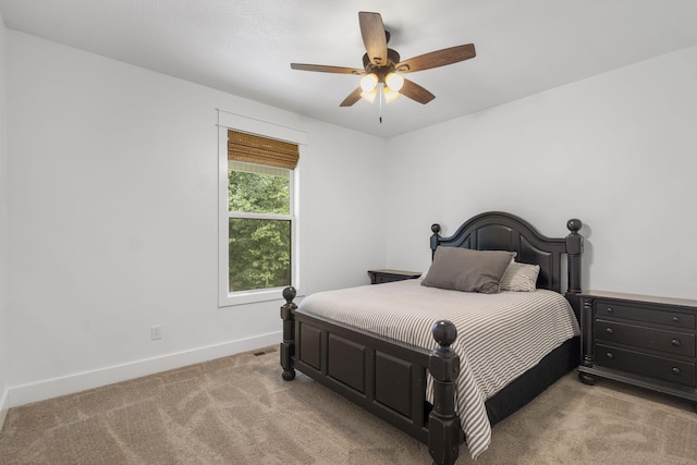 501 Sela Ln, Galena, MO 65656 - photo 20