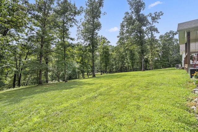 501 Sela Ln, Galena, MO 65656 - photo 34