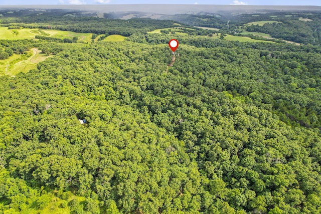 501 Sela Ln, Galena, MO 65656 - photo 42