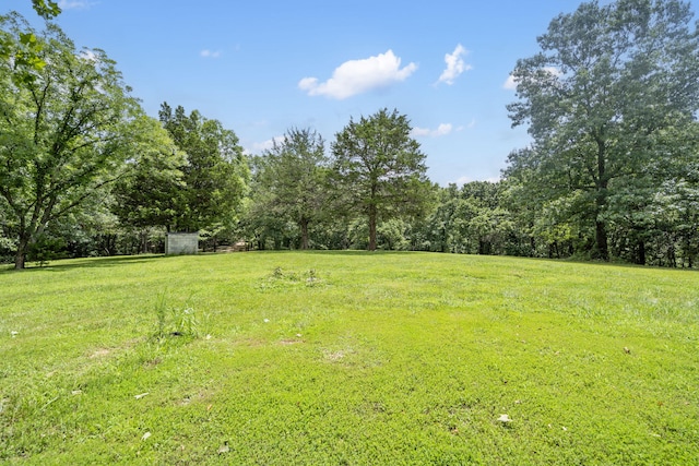 501 Sela Ln, Galena, MO 65656 - photo 47