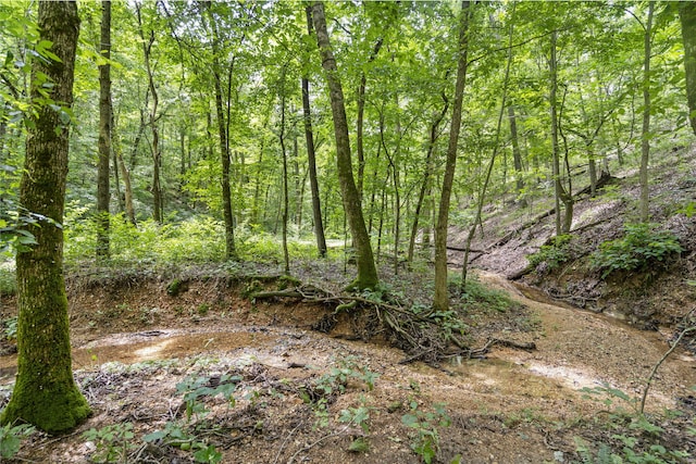 501 Sela Ln, Galena, MO 65656 - photo 57