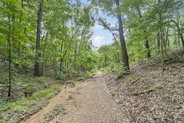 501 Sela Ln, Galena, MO 65656 - photo 54