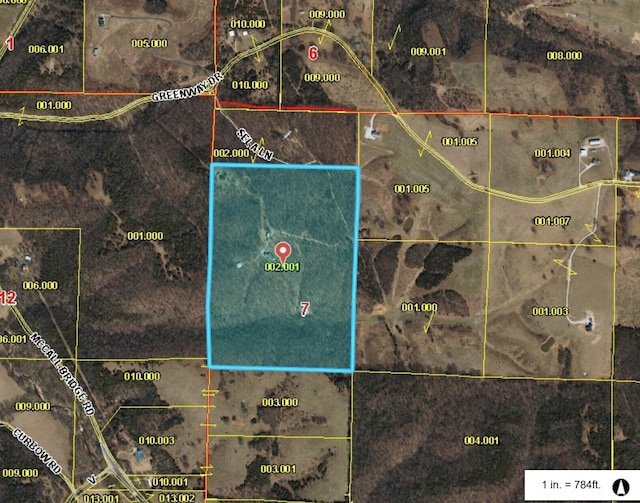 501 Sela Ln, Galena, MO 65656 - photo 32