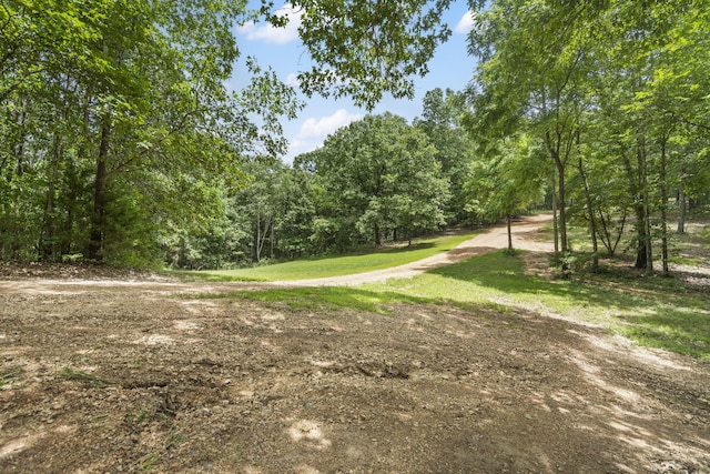 501 Sela Ln, Galena, MO 65656 - photo 53