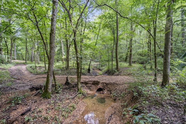 501 Sela Ln, Galena, MO 65656 - photo 63
