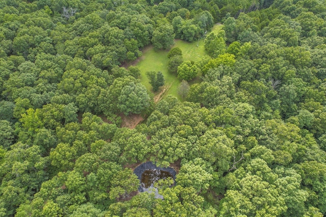 501 Sela Ln, Galena, MO 65656 - photo 67