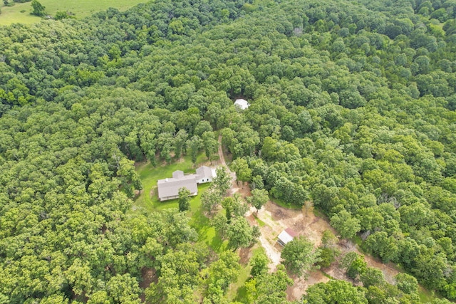 501 Sela Ln, Galena, MO 65656 - photo 43