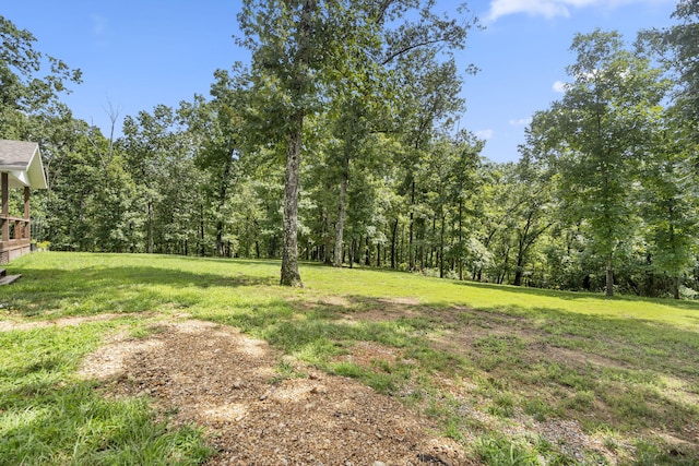501 Sela Ln, Galena, MO 65656 - photo 33