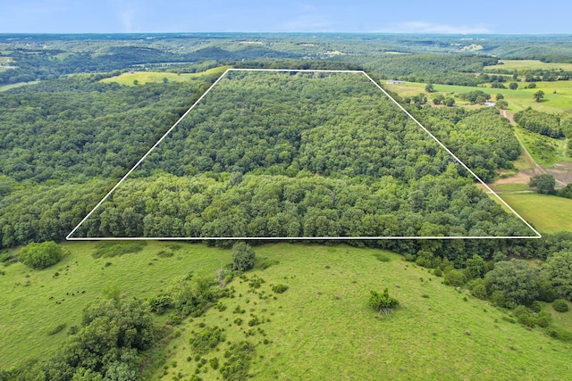 501 Sela Ln, Galena, MO 65656 - photo 69
