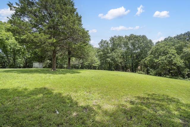 501 Sela Ln, Galena, MO 65656 - photo 48