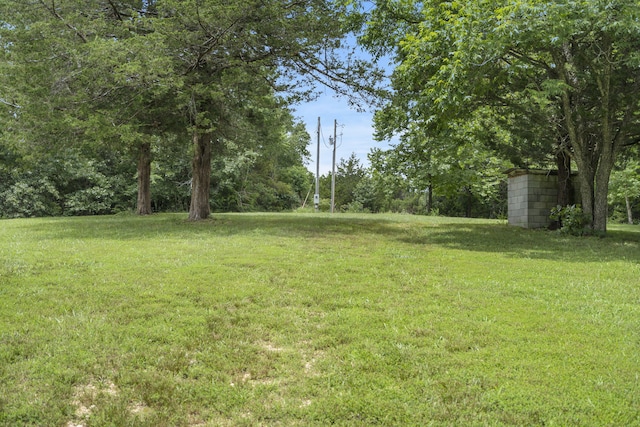 501 Sela Ln, Galena, MO 65656 - photo 45