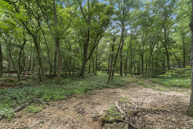 501 Sela Ln, Galena, MO 65656 - photo 55