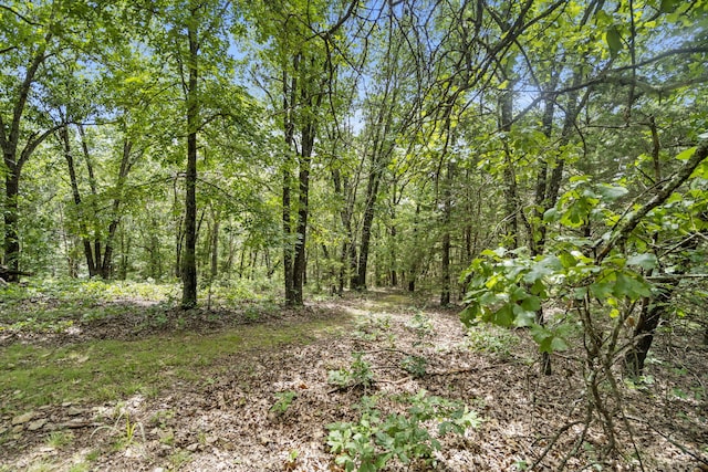501 Sela Ln, Galena, MO 65656 - photo 50