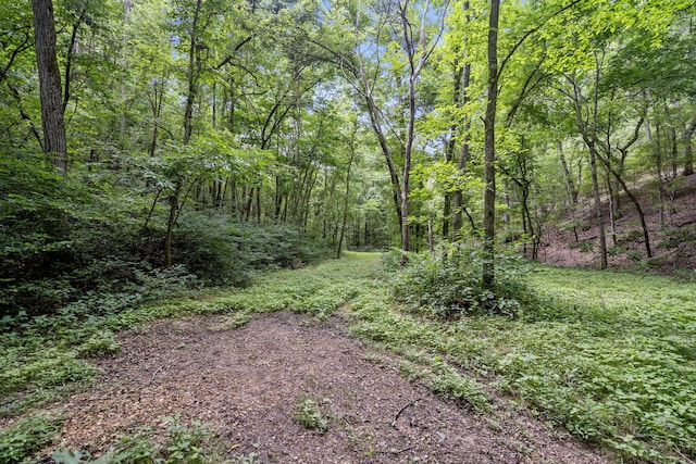 501 Sela Ln, Galena, MO 65656 - photo 60