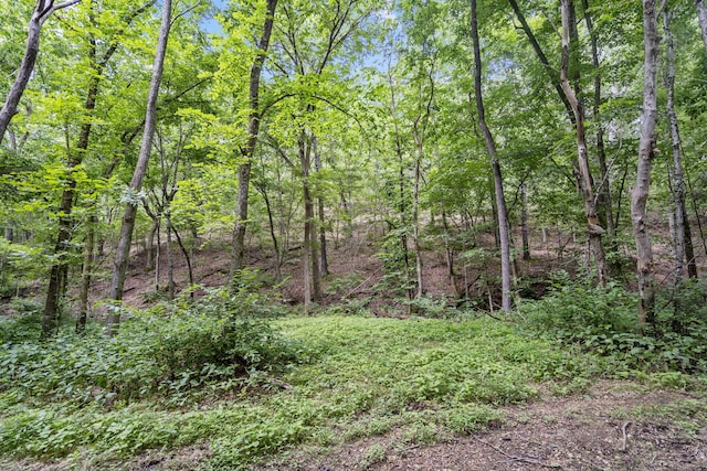 501 Sela Ln, Galena, MO 65656 - photo 61