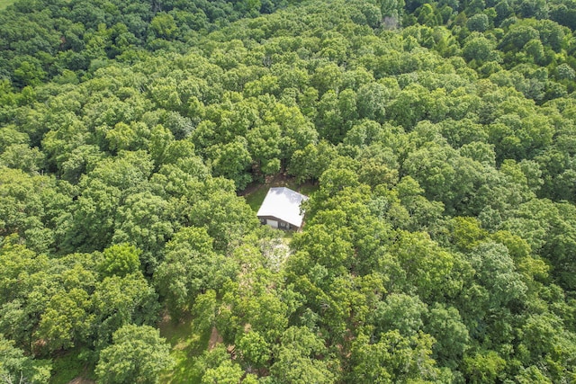 501 Sela Ln, Galena, MO 65656 - photo 64