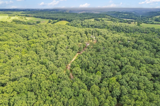501 Sela Ln, Galena, MO 65656 - photo 68