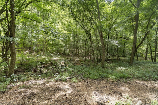 501 Sela Ln, Galena, MO 65656 - photo 56