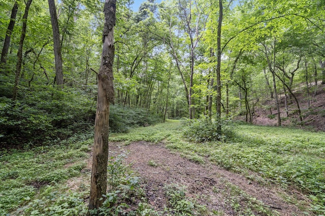 501 Sela Ln, Galena, MO 65656 - photo 62