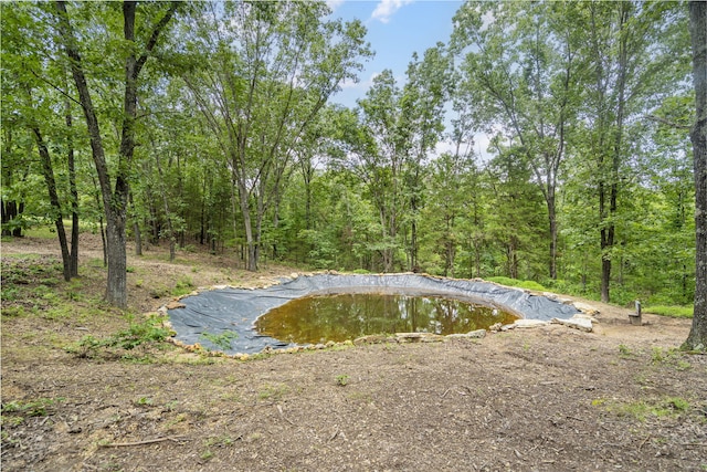 501 Sela Ln, Galena, MO 65656 - photo 51