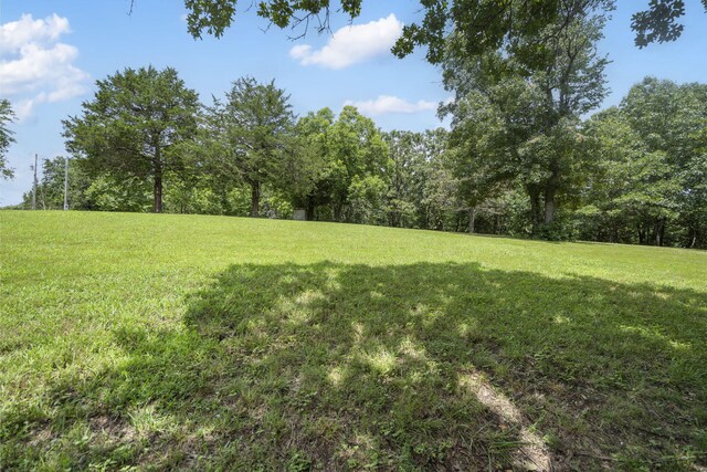 501 Sela Ln, Galena, MO 65656 - photo 49