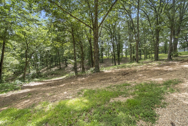 501 Sela Ln, Galena, MO 65656 - photo 52