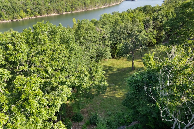 1829 Pokeberry Ln, Lampe, MO 65681 - photo 55