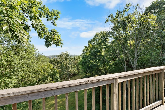 1829 Pokeberry Ln, Lampe, MO 65681 - photo 50