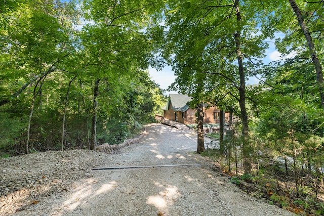 1829 Pokeberry Ln, Lampe, MO 65681 - photo 59