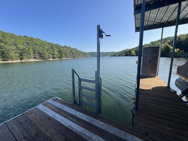 1829 Pokeberry Ln, Lampe, MO 65681 - photo 64