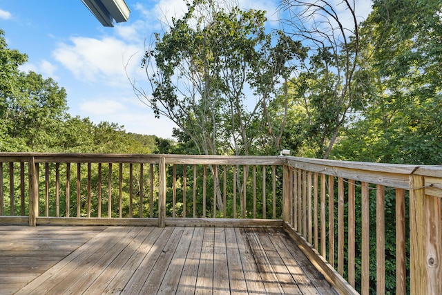 1829 Pokeberry Ln, Lampe, MO 65681 - photo 48
