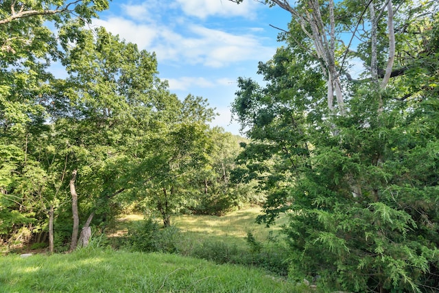 1829 Pokeberry Ln, Lampe, MO 65681 - photo 53