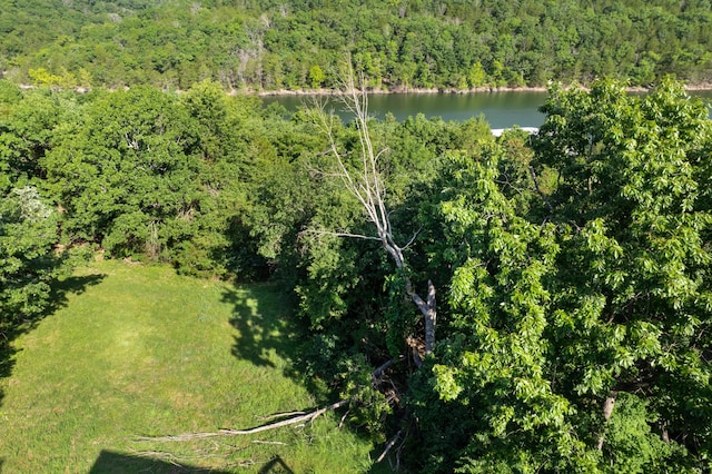 1829 Pokeberry Ln, Lampe, MO 65681 - photo 57