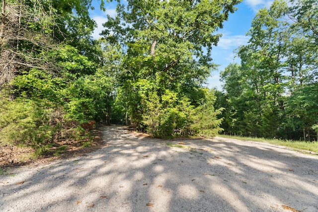 1829 Pokeberry Ln, Lampe, MO 65681 - photo 58