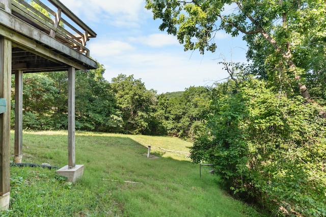 1829 Pokeberry Ln, Lampe, MO 65681 - photo 56
