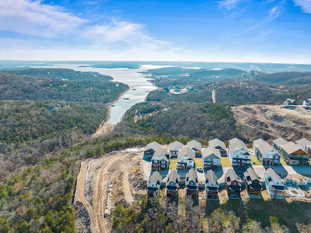 140 David Shawn Dr, Branson, MO 65616 - photo 50