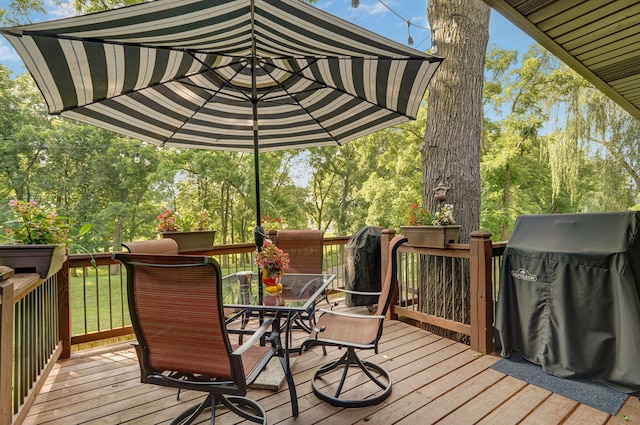 2510 W Scenic Dr, Ozark, MO 65721 - photo 41