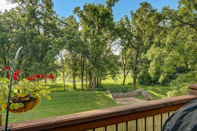 2510 W Scenic Dr, Ozark, MO 65721 - photo 42