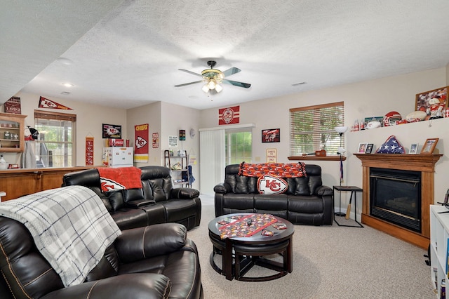 2510 W Scenic Dr, Ozark, MO 65721 - photo 30