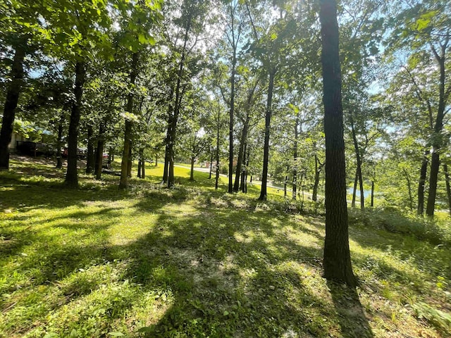 20580 Hummingbird Ln, Warsaw, MO 65355 - photo 14