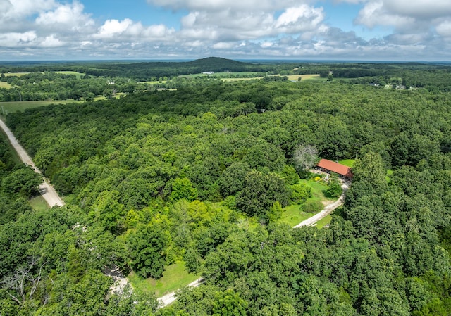 11511 County Road 5340, Rolla, MO 65401 - photo 40