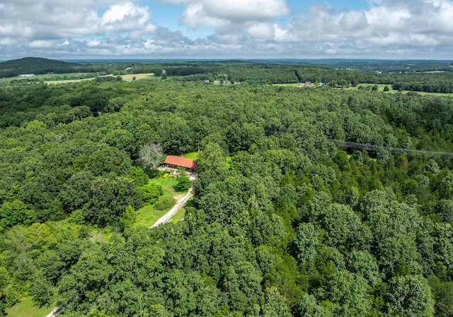 11511 County Road 5340, Rolla, MO 65401 - photo 32