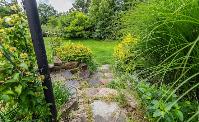 11511 County Road 5340, Rolla, MO 65401 - photo 47