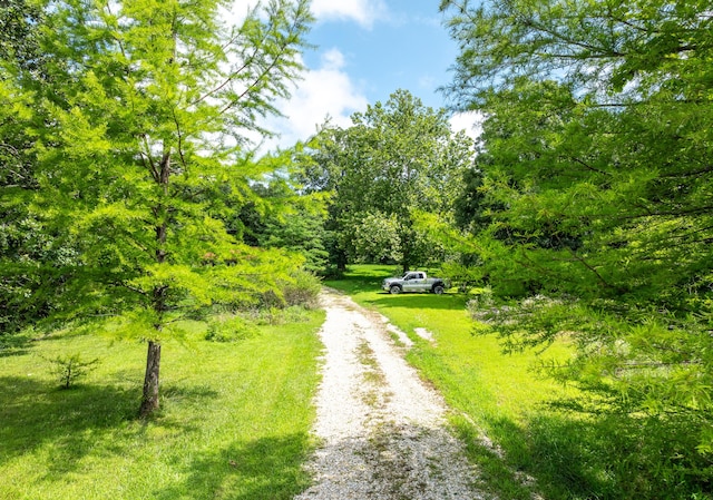 11511 County Road 5340, Rolla, MO 65401 - photo 10