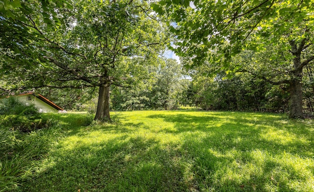11511 County Road 5340, Rolla, MO 65401 - photo 33