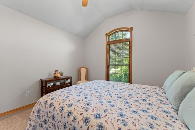 200 Whitetail Dr, Walnut Shade, MO 65771 - photo 28