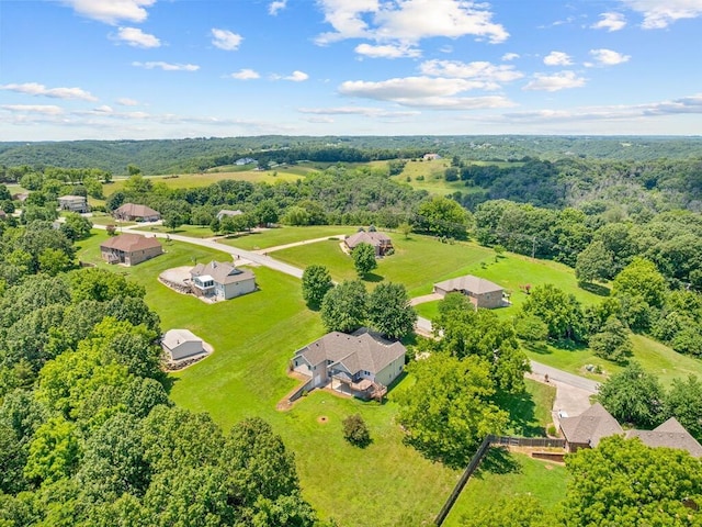 200 Whitetail Dr, Walnut Shade, MO 65771 - photo 58