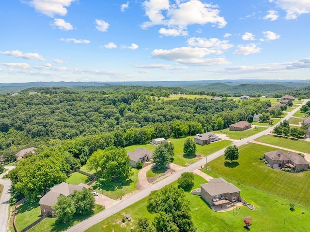 200 Whitetail Dr, Walnut Shade, MO 65771 - photo 60