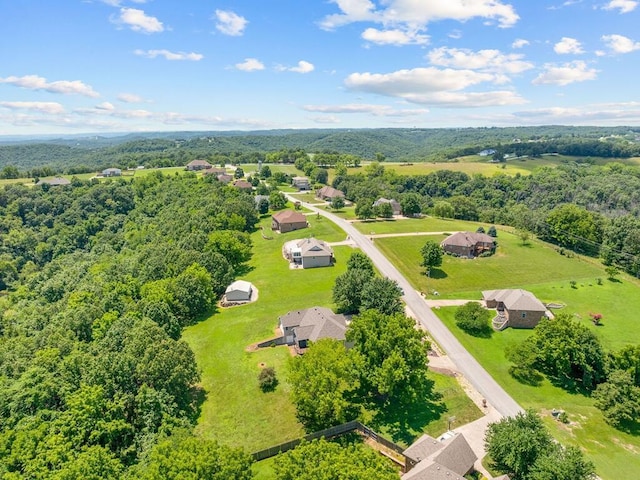 200 Whitetail Dr, Walnut Shade, MO 65771 - photo 59