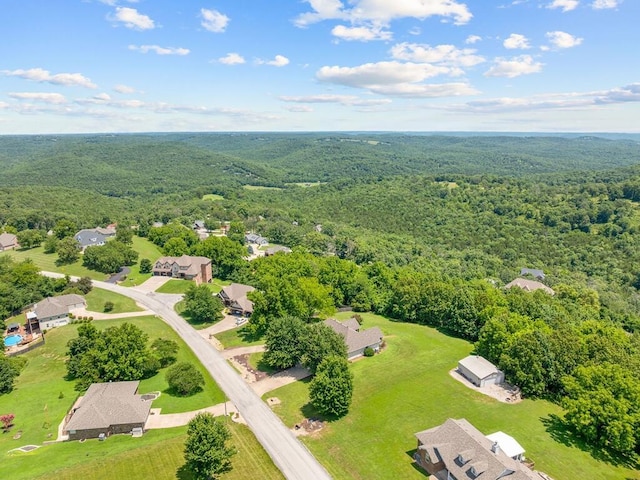 200 Whitetail Dr, Walnut Shade, MO 65771 - photo 62